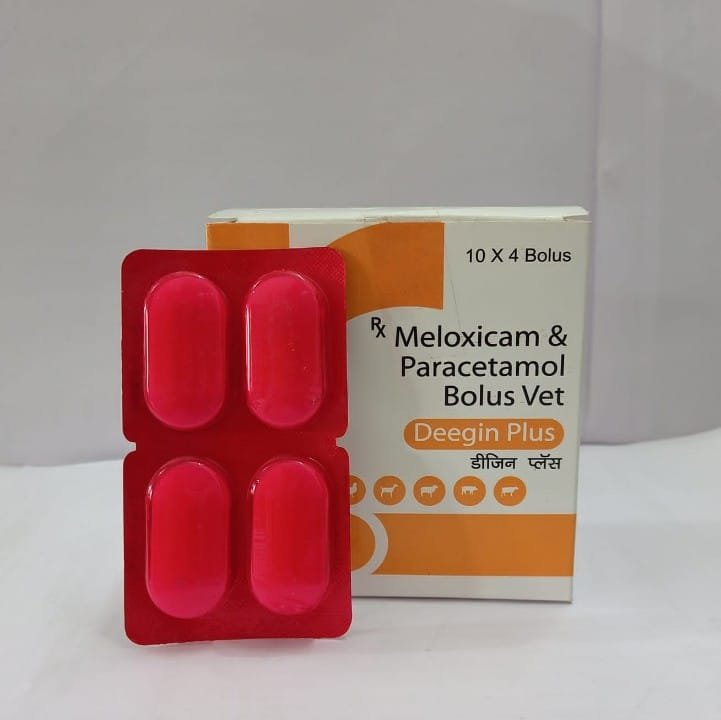 DEEGIN PLUS BOLUS